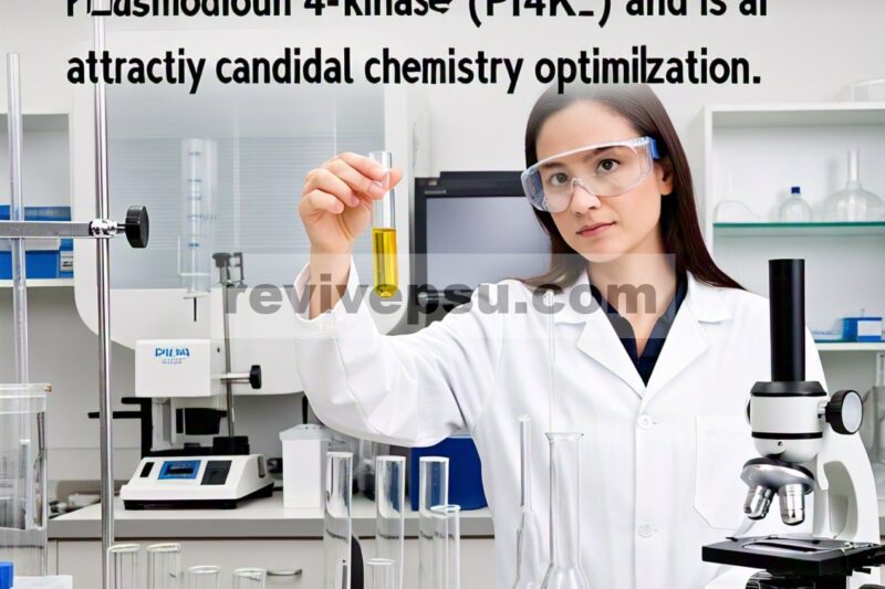 Inhibitor ATM Kinase AZD0156 adalah Inhibitor Poten Plasmodium Phosphatidylinositol 4-Kinase (PI4Kβ) dan merupakan Kandidat Menarik untuk Optimalisasi Kimia Medis…