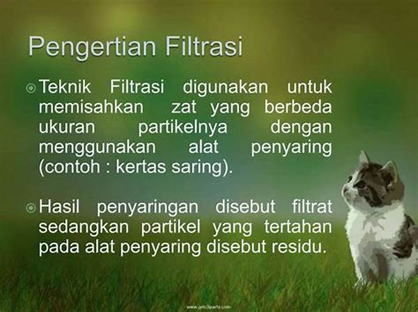 Filtrasi
