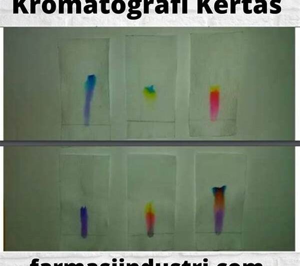 Kromatografi Kertas
