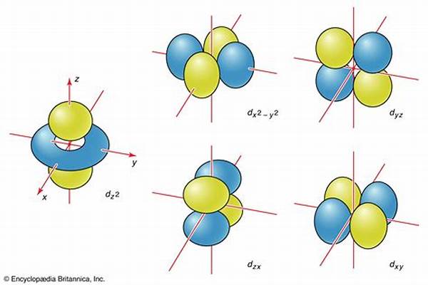 Orbital Atom