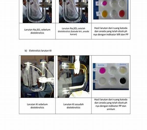 Percobaan Elektrolisis